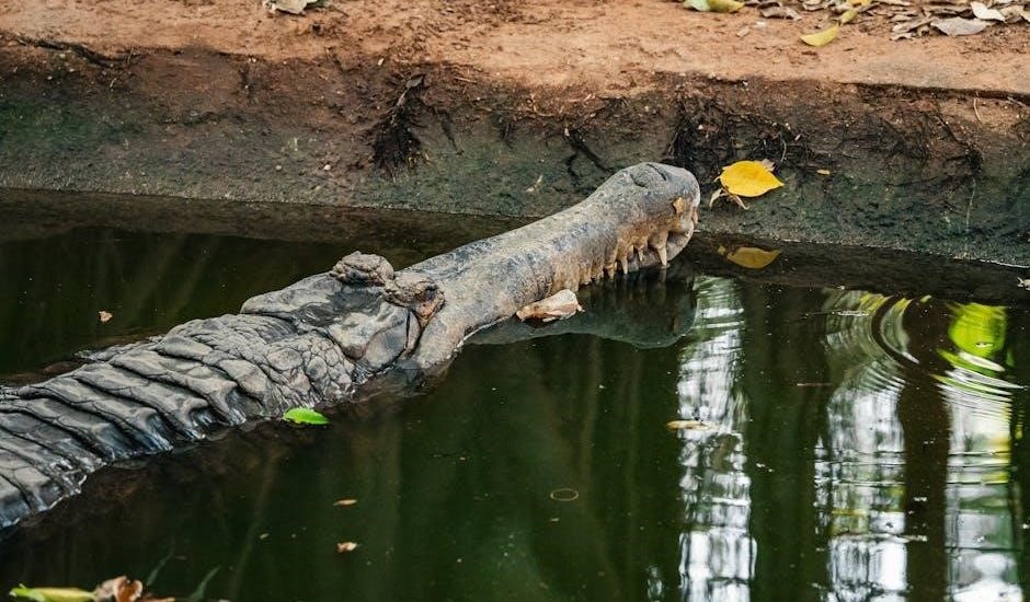 snowflake certification dumps pdf free download